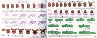 Ed Emberleys Fingerprint Drawing Book