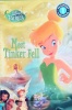 Disney Fairies Meet Tinker Bell