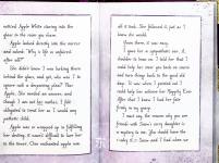 Diary of an Evil Queen