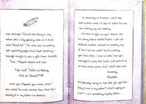 Diary of an Evil Queen