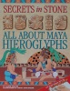 Secrects in stone:all about Maya hieroglyphs