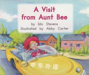 A Visit from Aunt Bee Ida Stevens