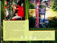 Secrets of the Sumatran Tiger