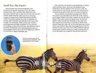 The Interaction of Animals and Scientists