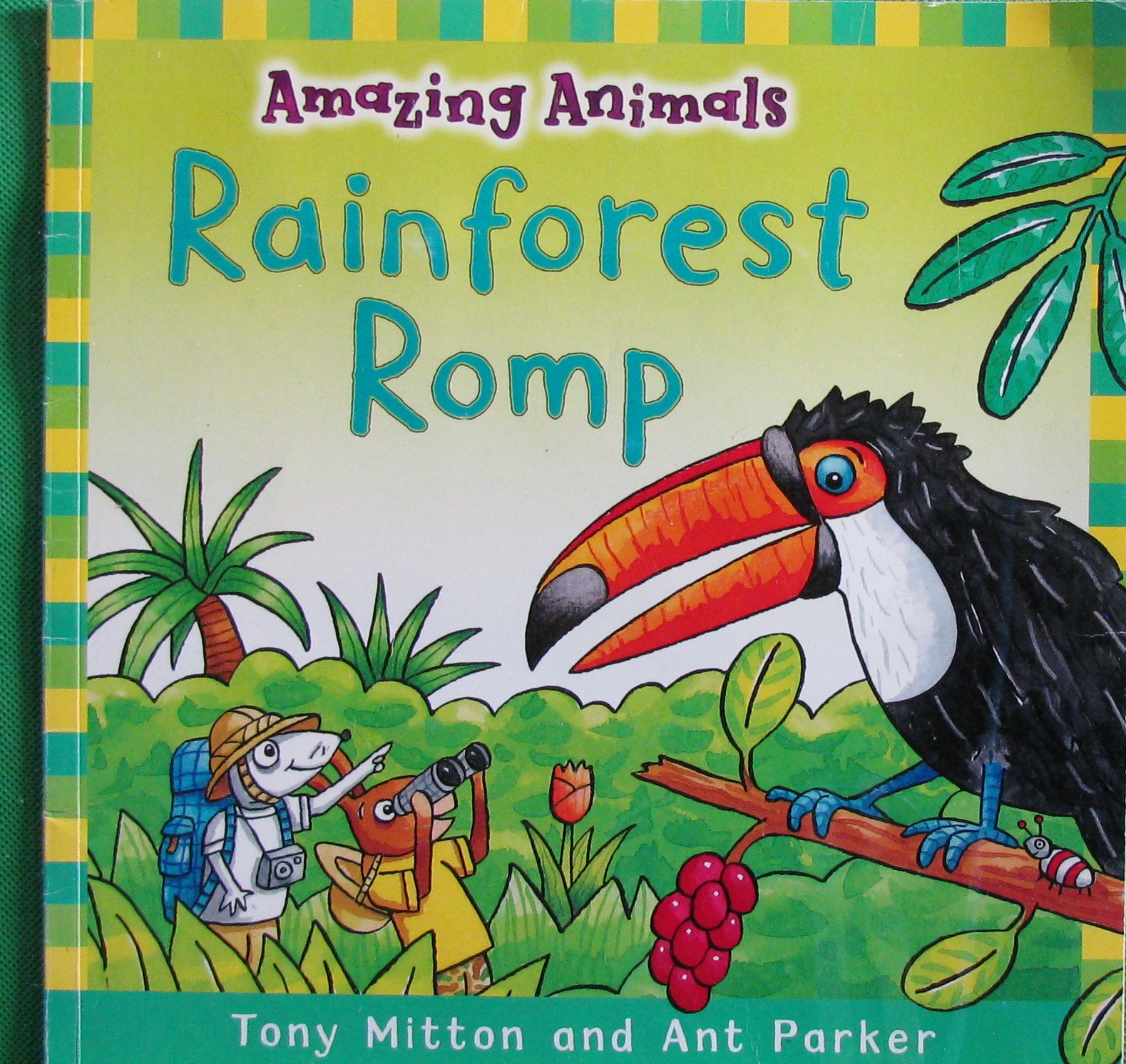 amazing animals: rainforest romp