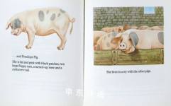 Nettlepatch Farm: Penelope Pig (Nettlepatch Farm)