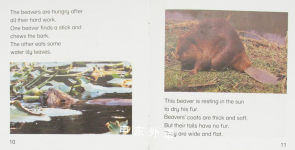 New Way information My World:Beaver's Day