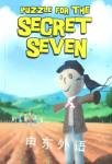 Secret Seven Mystery Enid Blyton