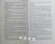 Indigo Star (Casson Family)