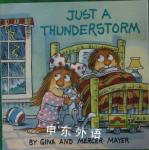 Just a Thunderstorm  Gina Mayer,Mercer Mayer