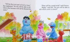Which Witch Is Which? Big Birds Favorites Board Books