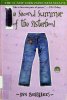 The Second Summer of the Sisterhood Sisterhood of Traveling Pants Book 2