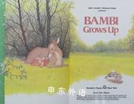 Bambi Grows Up Disneys Wonderful World of Reading