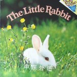 The Little Rabbit Judy Dunn
