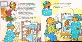The Berenstain Bears Trouble at School