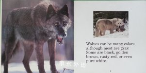 The wonder of wolves