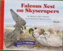 Houghton Mifflin Soar to Success: Falcons Nest Level 4 FALCONS NEST