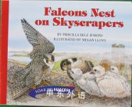 Houghton Mifflin Soar to Success: Falcons Nest Level 4 FALCONS NEST Megan Lloyd