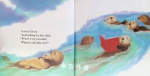 A Lot of Otters