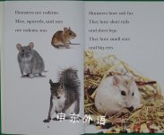 HamHamHamsters