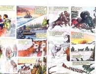 The Call of the Wild