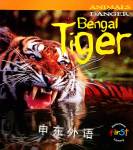 Bengal Tiger Ron Kanon