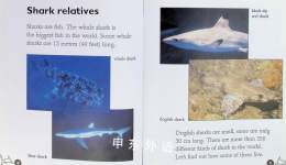 Really Wild Sharks