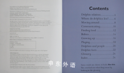 Really Wild: Dolphin