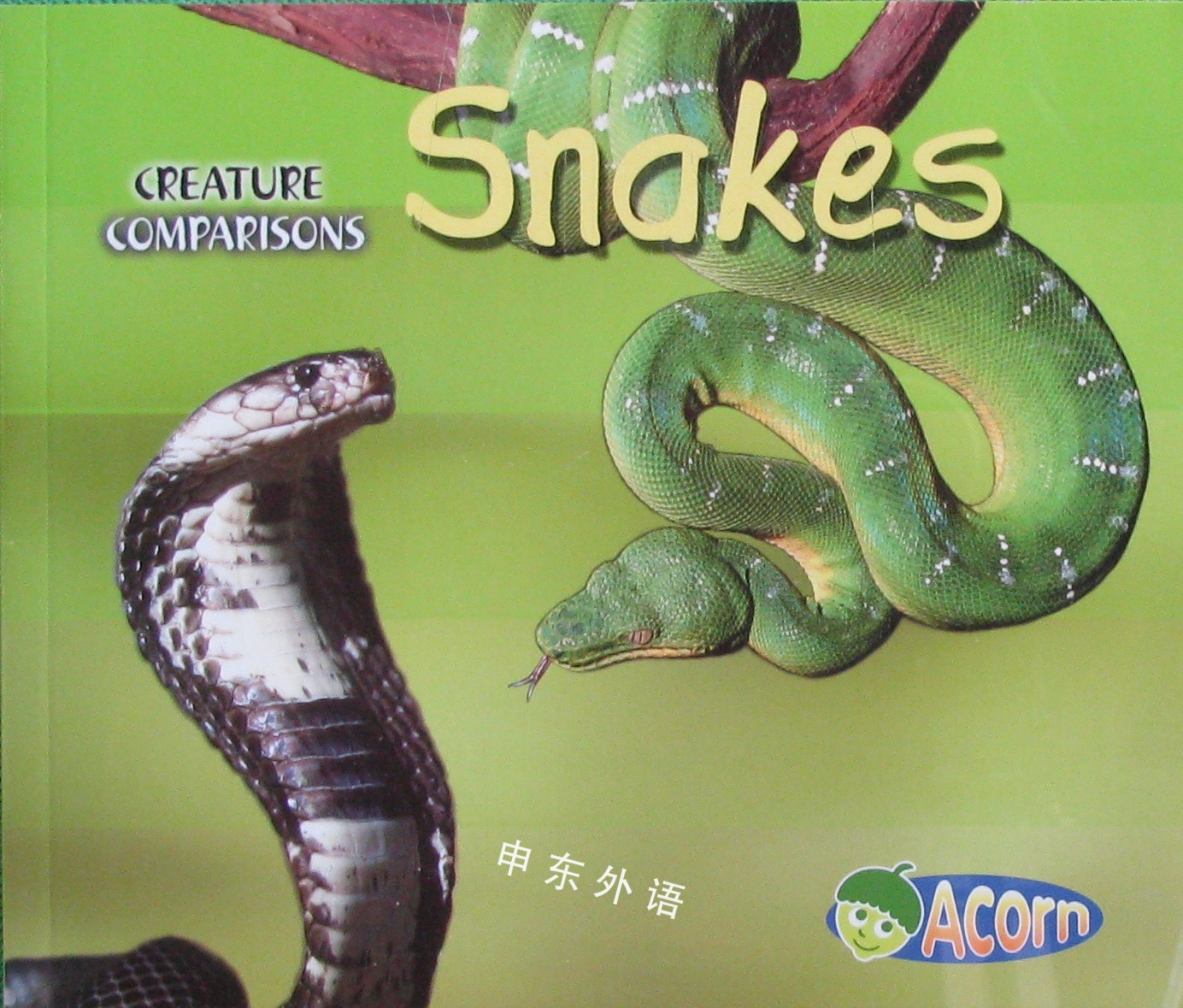 進口圖書 兒童圖書 教育相關 creature comparisons:snakes(機器翻譯