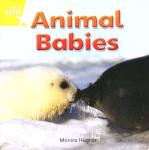Animal Babies Monica Hughes