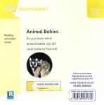 Animal Babies
