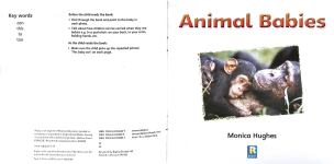 Animal Babies
