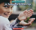 A Tadpole Grows Up
