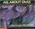 All About Owls