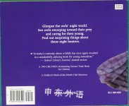 All About Owls