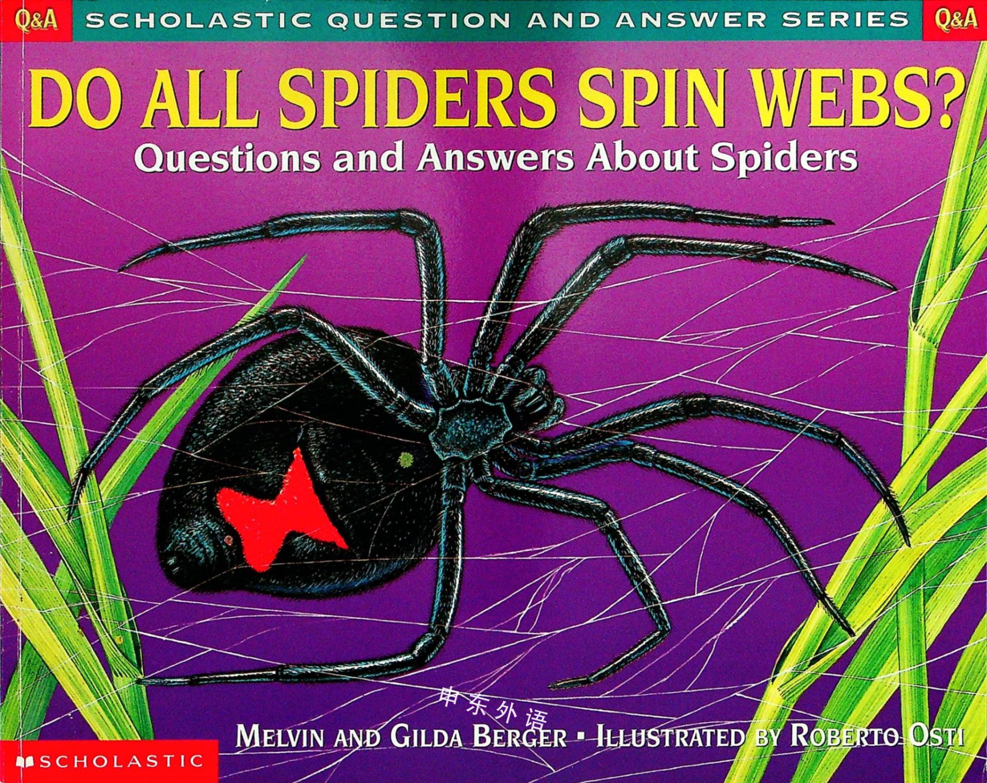 do-all-spiders-spin-webs-questions-and-answers-about-spiders