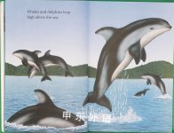 Whales And Dolphins level 1 Hello Reader Science