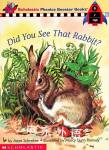 Did You See That Rabbit Anne Schreiber