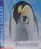 Penguins (Animal Safari)