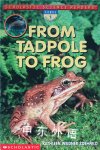 From Tadpole to Frog Kathleen Weidner Zoehfeld