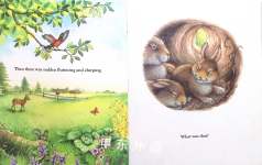 Bunnys Noisy Book