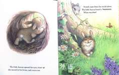 Bunnys Noisy Book