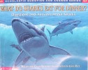 Scholastic Q & A: What Do Sharks Eat For Dinner? Scholastic Question & Answer