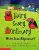 Hairy Scary Ordinary: What is an Adjective?