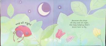 The Very Lazy Ladybug