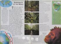 In the Rainforest (The natural world)