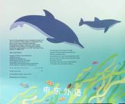 Sea Shapes