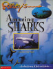 Ripley's amazing sharks