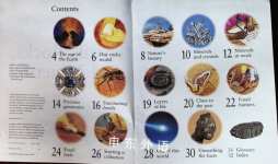 The Best Book of Fossils Rocks and Minerals