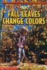 Fall Leaves Change Colors
